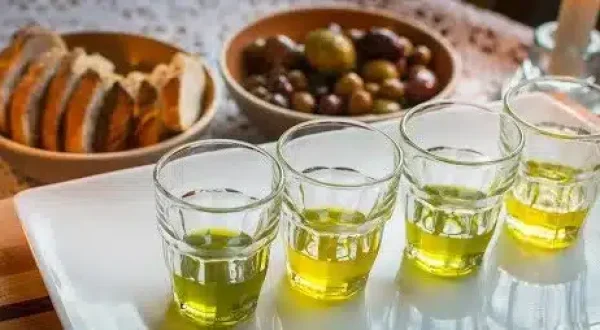 Kalamata Olive and Oil Tasting